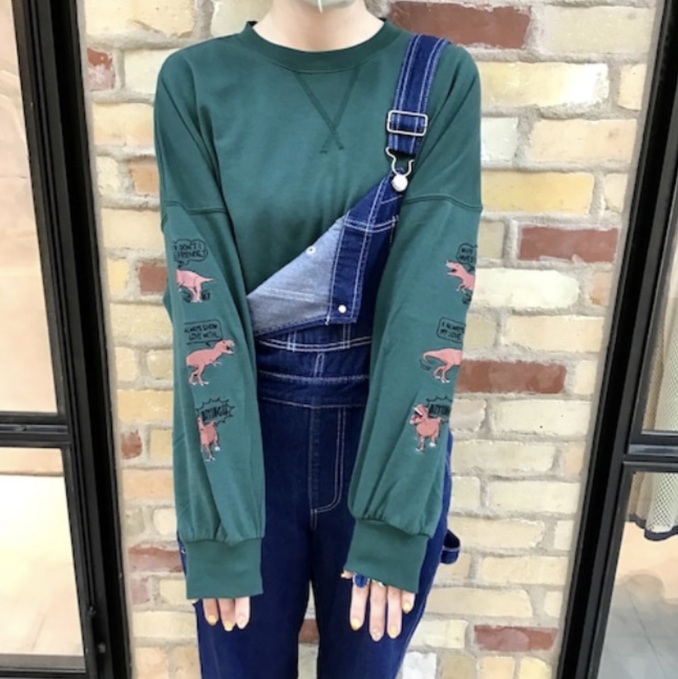 袖ティラノサウルス刺繍トレーナー