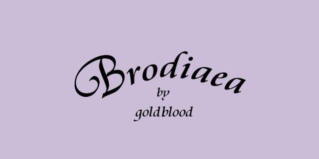 Brodiaea by goldblood OSAKA