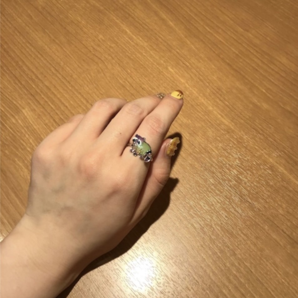 アライグマムードリング