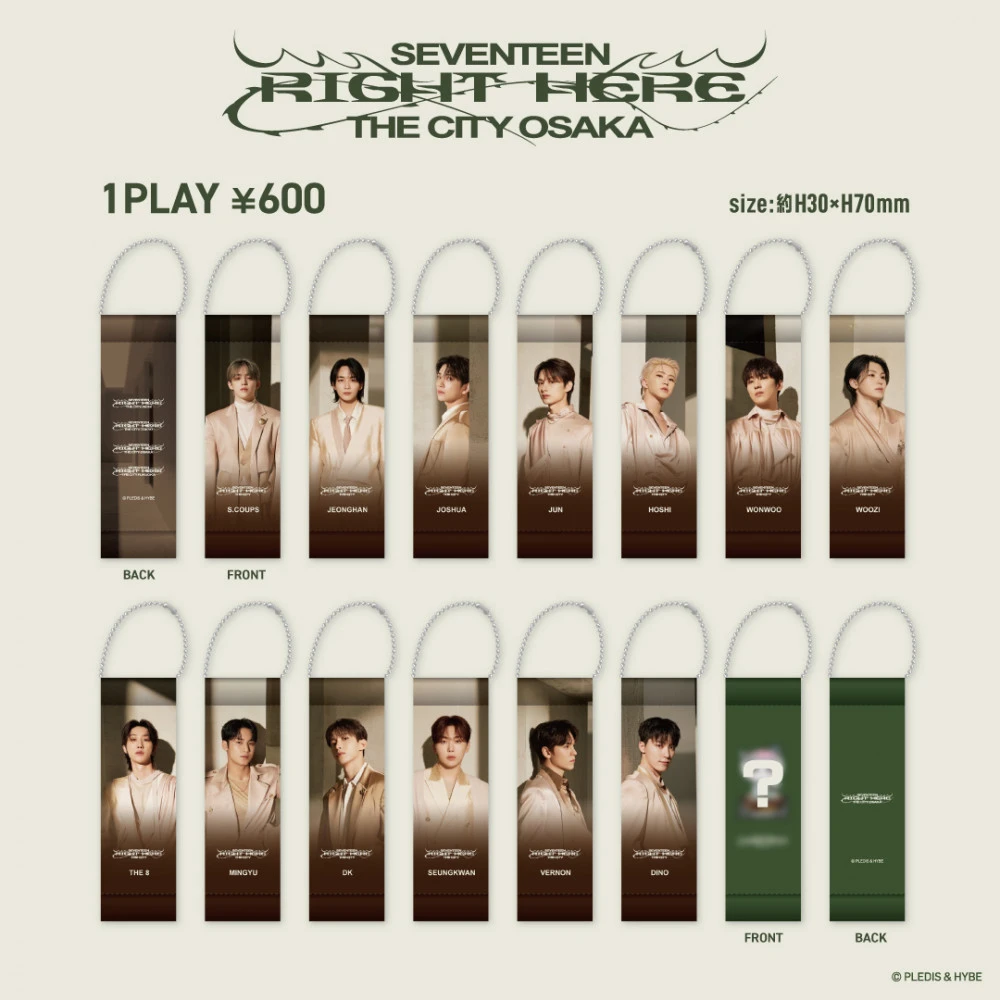 非売品 関西限定 SEVENTEEN × 分厚 HARBS クリアフォト ウォヌ