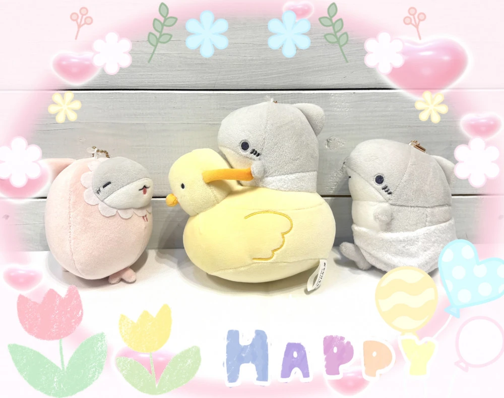 🍼ベビー子ザメ🦈商品紹介