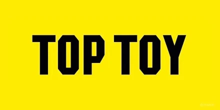 TOP TOY